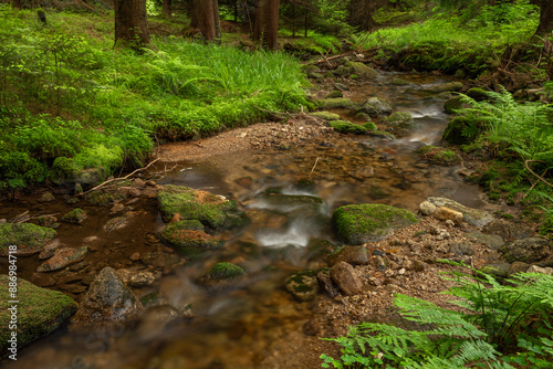 Bily creek in summer day near Nove Hamry village in Krusne mountains photo