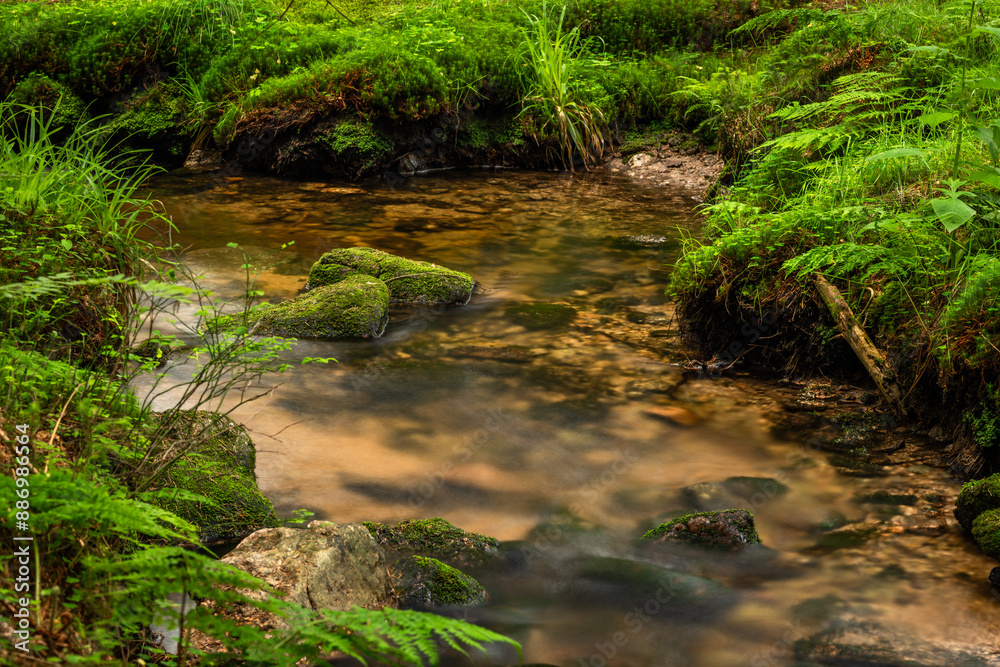 Bily creek in summer day near Nove Hamry village in Krusne mountains Bily creek in summer day near Nove Hamry village in Krusne mountains