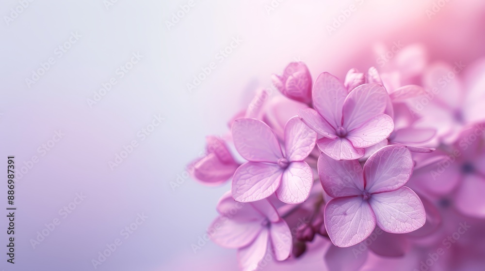 A table holds a mass of pink blooms above a blue-pink fabric, background softly blurred A table holds a mass of pink blooms above a blue-pink fabric, background softly blurred