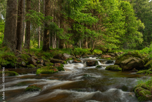 Rolava river with orange bed and grass on bank in summer hot morning