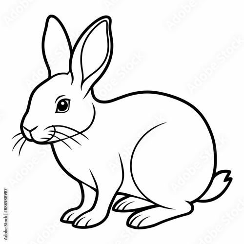 rabbit vector design 