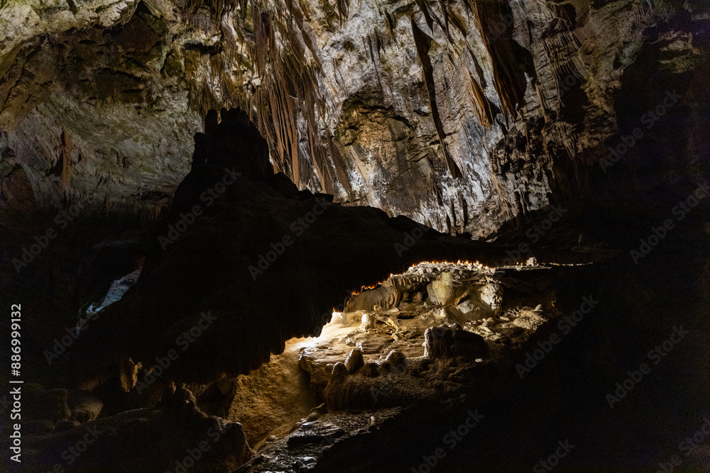 Fototapeta premium Postojna Cave, Slovenia. Famous tourist attraction, route that winds for several km. Departure by train to reach the route on foot. Stalagmites, stalactites and proteus lizard. family holidays,unique.