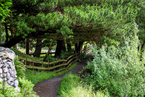 Public footpath in Snowdonia, Image shows the isolated footpath near Capel Curig a small Welsh town leading down to Llynnau Mymbyr lake photo