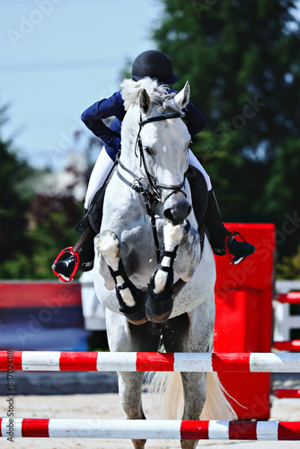 The grey horse jumps over the red barrier 100 cm. Vertical photo of show jumping. Equestrian Sports