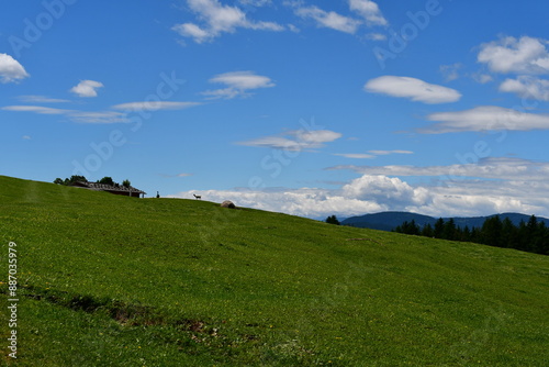 Obraz na płótnie Schöne Landschaft bei Völs am Schlern in Südtirol w salonie