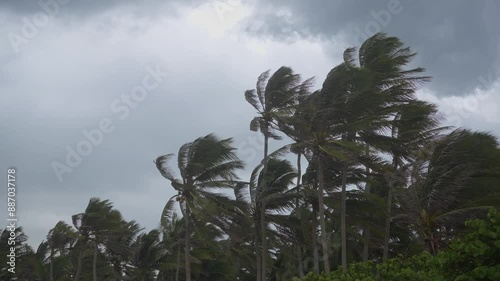 tropical storm windy weather 4k footage. Can be used to represent hurricane season natural disaster, typhoon climate change or coast extreme weather