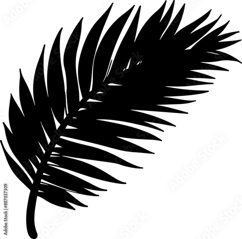 palm leaf vector illustration isolated on transparent background. 
