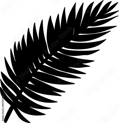 palm leaf vector illustration isolated on transparent background. 
