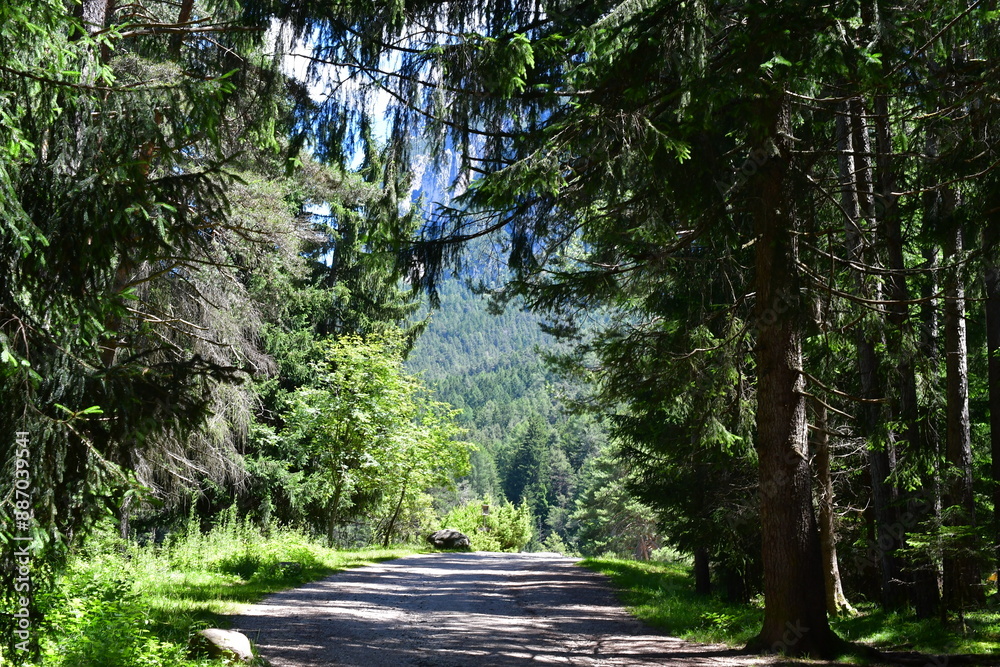 Ein schöner Wanderweg bei Völs am Schlern in Südtirol