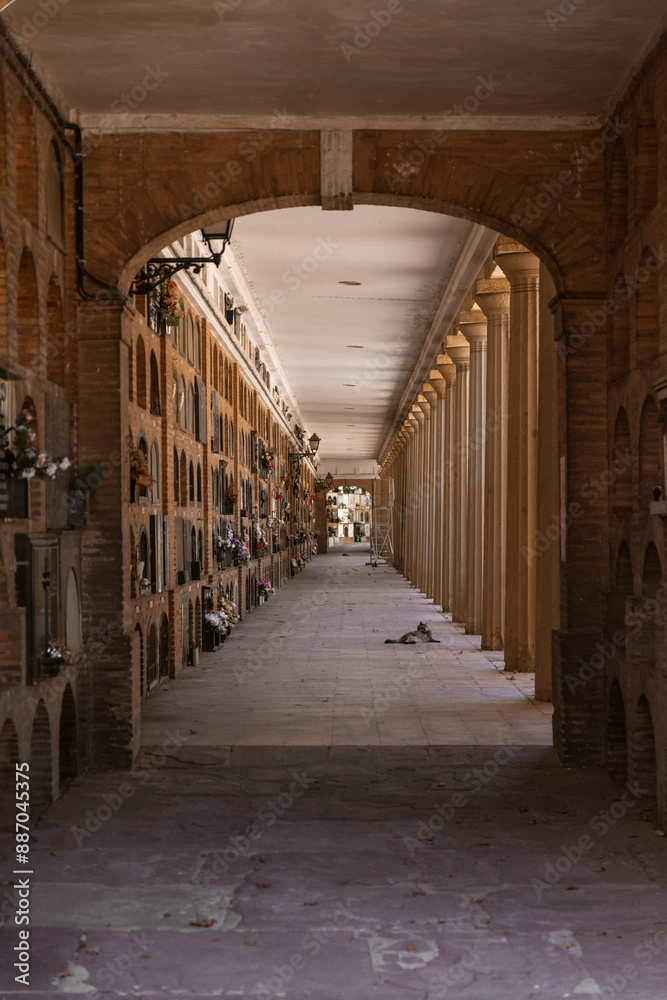 Fototapeta premium Cementerio Municipal de Valencia 