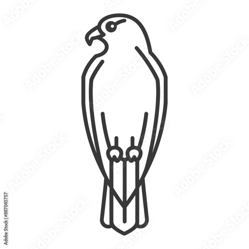 hawk minimalist line art icon logo symbol