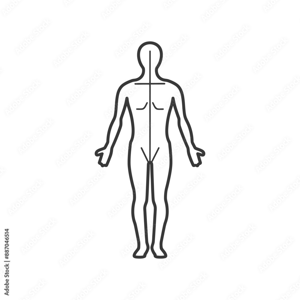 Minimalist Line Art Human Anatomy Diagram: Front View, Centered Axis Minimalist Line Art Human Anatomy Diagram: Front View, Centered Axis