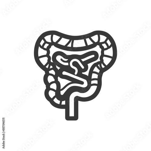 Stylized Line Art Illustration of Human Digestive System Anatomy