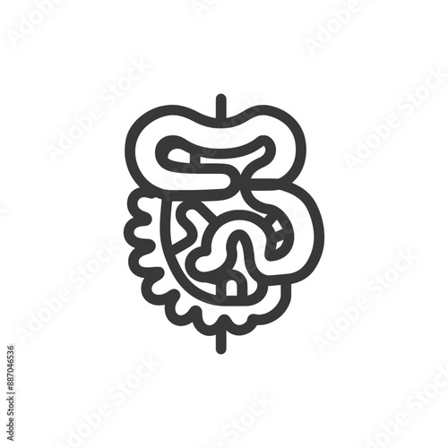 Simplified Line Art Illustration of Human Digestive System Anatomy