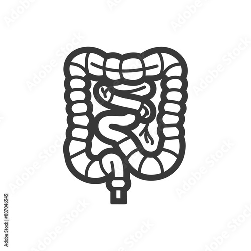 Stylized Line Art Illustration of the Human Intestine and Colon