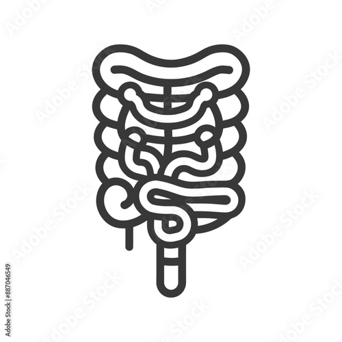 Stylized Line Art Illustration of Human Digestive System Anatomy