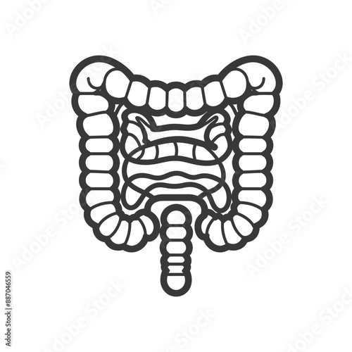 Line Art Illustration of Human Large Intestine and Appendix