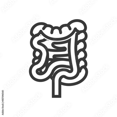 Simplified Line Art Illustration of the Human Intestine