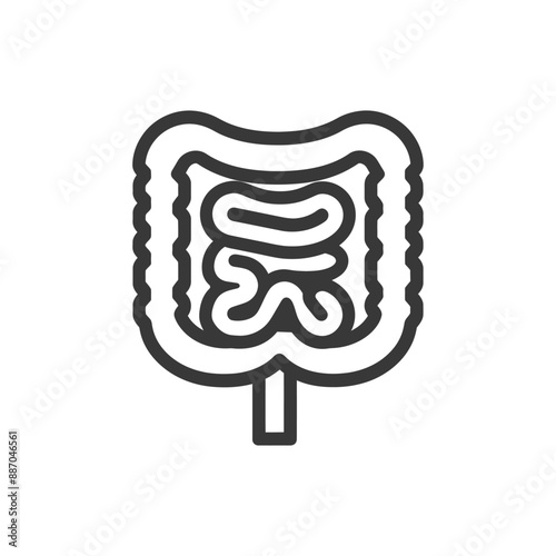 Simplified Line Art Illustration of Human Digestive System