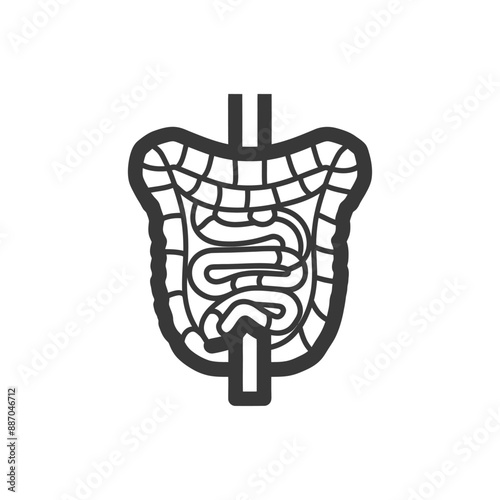 Monochromatic Line Art Illustration of Human Digestive System Anatomy