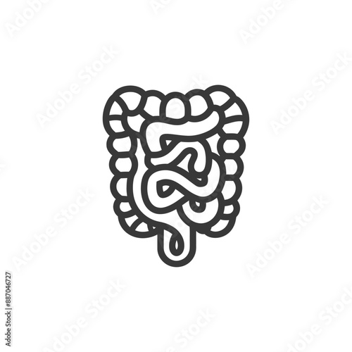 Stylized Line Art Illustration of Human Intestines