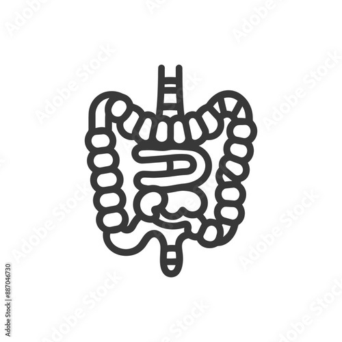 Simplified Line Art Illustration of Human Digestive System