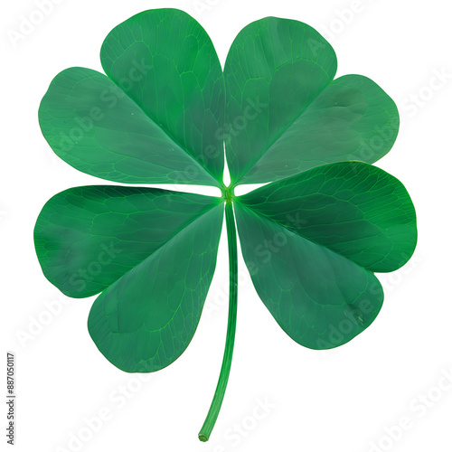 Lucky Four Leaf Clover 