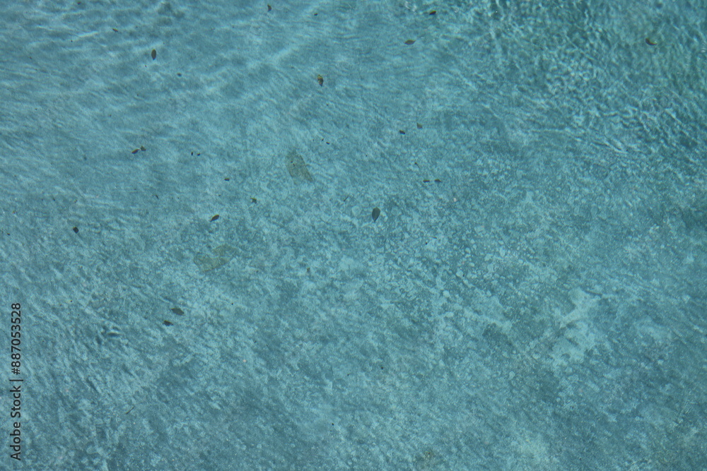 Obraz premium Closeup empty blue swimming pool.