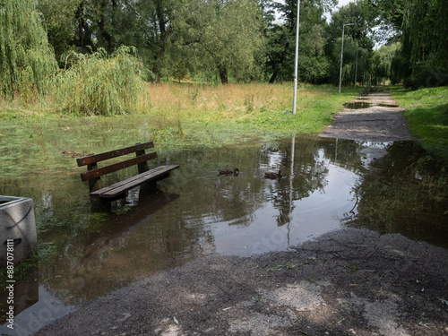 Un banc dans une flaque d’eau après de fortes pluies photo