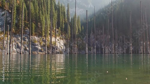 A high-altitude lake in a mountainous decay, the trunks of pine trees stand in the water. the angle is close to the water photo