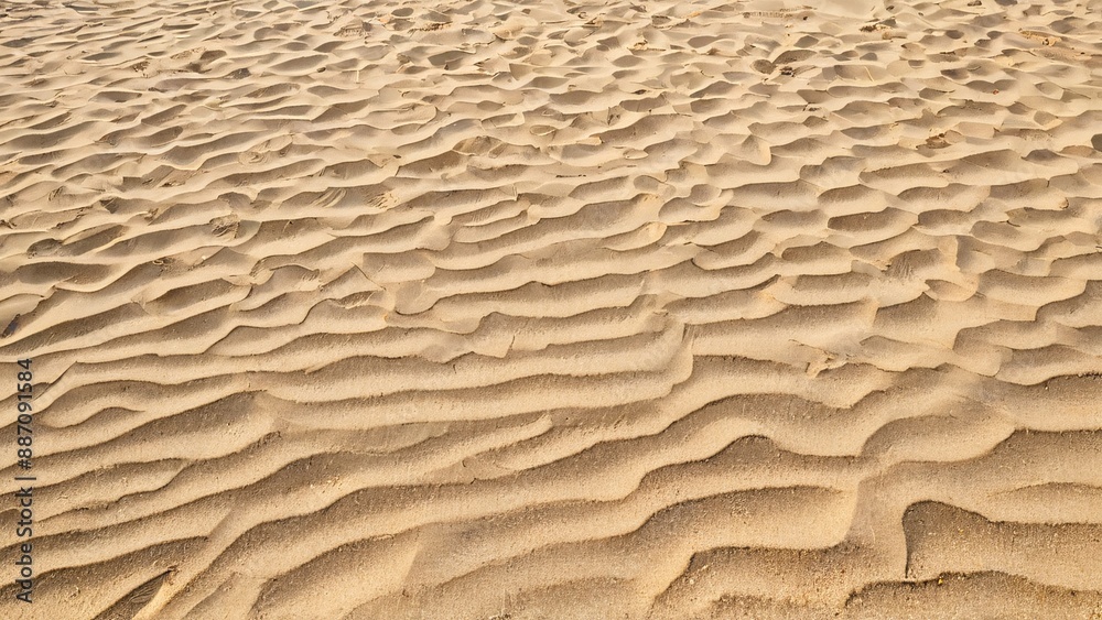 summer background of beach sand with shadows summer background of beach sand with shadows