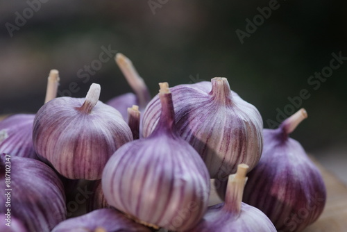
Fresh garlic on a dark background, presenting its natural texture and rich, earthy tones. Perfect for culinary, health and organic-themed projects.