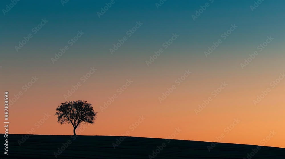 Minimalist silhouette of lone tree against a sunset sky
