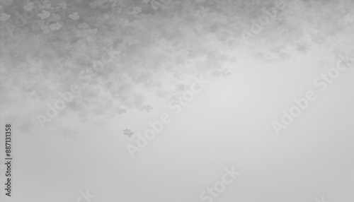 Frosty Winter Floral Wallpaper with White Flowers on Black Background