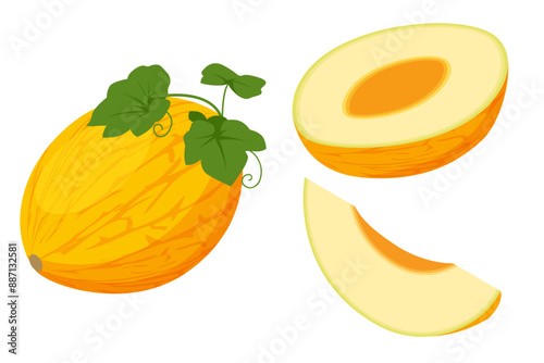 Isometric Cavaillon Melon, Cucumis melon, Fruit. It is a healthy and nutritious food. Ripe fruit