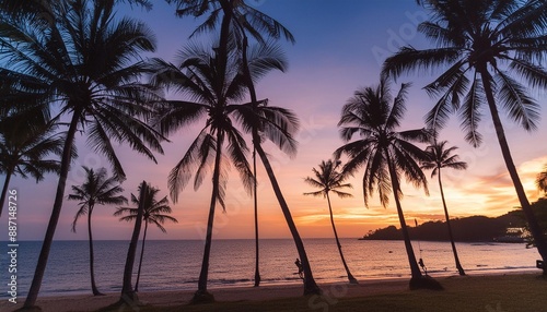 tropical ocean beach with coconut palm trees silhouettes at dusk after colorful sunset