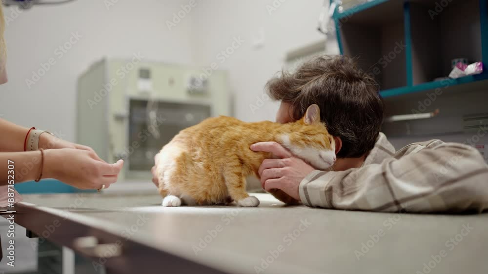 Close-up a brunette guy in a white checkered shirt strokes his ginger cat together with a girl veterinarian in a veterinary clinic