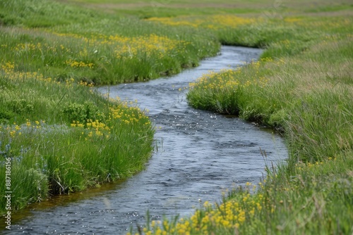 Winding River through Green Grass and Wildflowers.