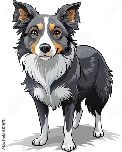 Playful Border Collie captured in pencil sketch. 