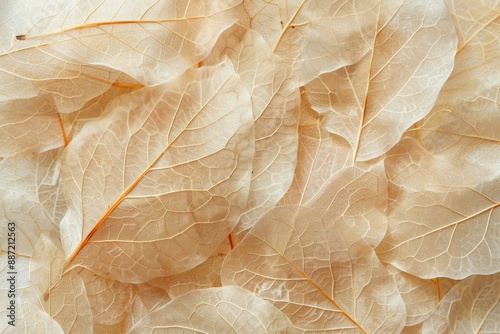 Semi-transparent leaves in golden tones in macro shot