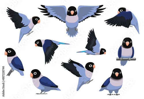 Lovebird Blue Bird Parrot Masked Various Poses Vector Illustration