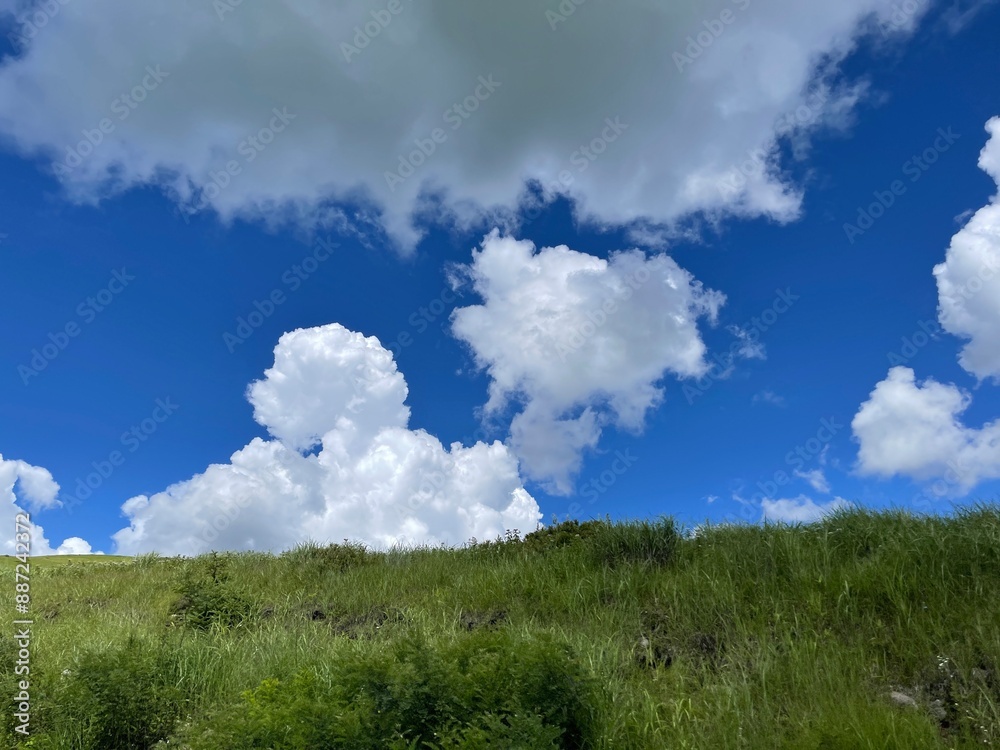 青空 青空
