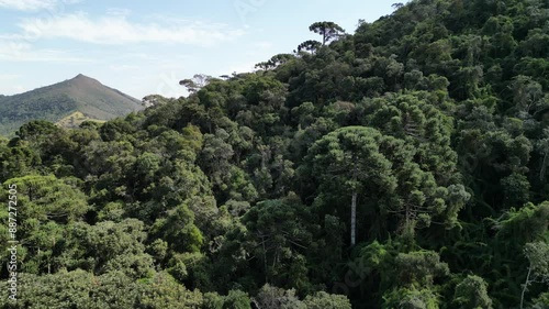 Paisagens Serra Mantiqueira Itamonte Passa Quatro Minas Gerais Brasil Esportes Ultramaratona Corrida Trilha Ciclismo Montanha Natureza Pasto Verde Ecoturismo Aventura Caminhada Rios Floresta Araucária photo