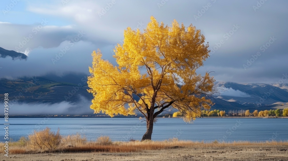 beautiful landscape backgrounds photography beautiful landscape backgrounds photography