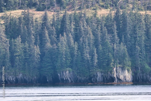 College Fjord, Alaska photo