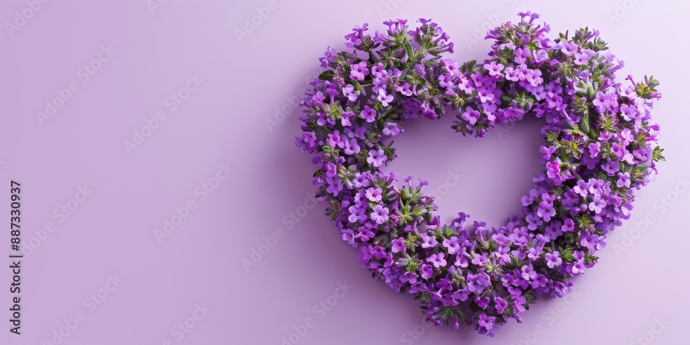 Verbena arranged in heart shape on lavender solid color background with copy space 