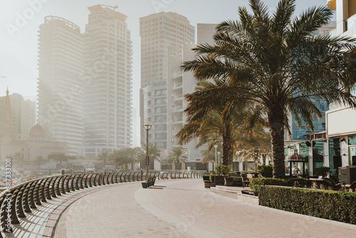 Waterfront promenade with palm trees and high-rise buildings photo