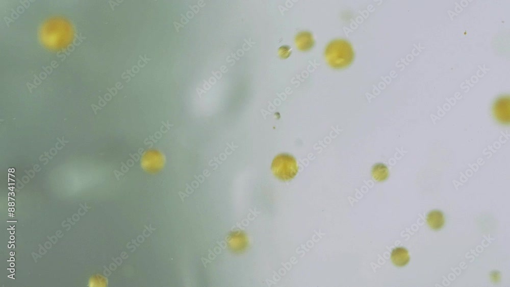 Serum texture. Bubble drip. Defocused golden orange gray color bright paint balls falling liquid peas in water emulsion moving ink particles abstract art background. Serum texture. Bubble drip. Defocused golden orange gray color bright paint balls falling liquid peas in water emulsion moving ink particles abstract art background.