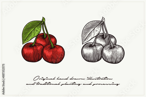 a pair of cherries in a carved style