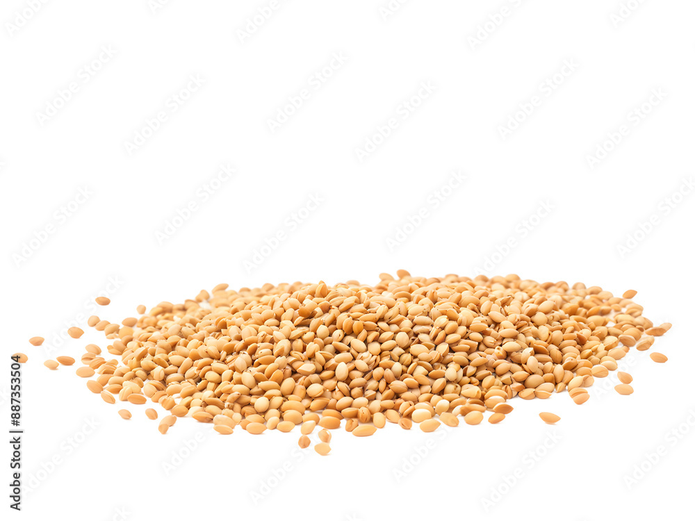 sesame isolated on transparent background sesame isolated on transparent background